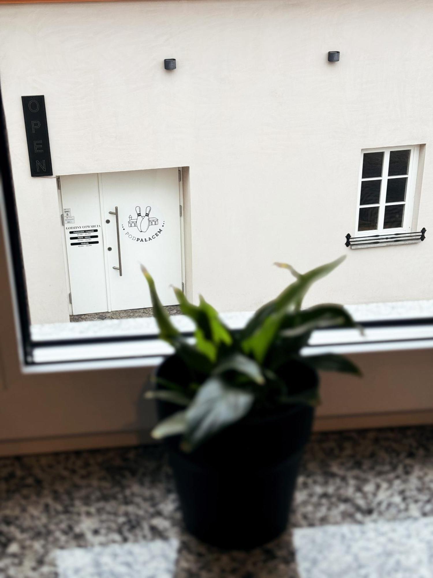 Pokoje Pod Palacem Koszecin Cameră foto